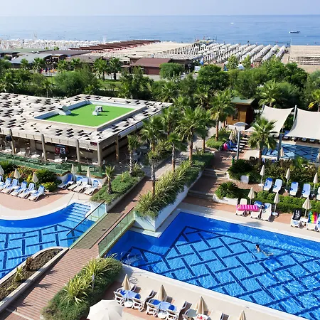 Trendy Verbena סייד