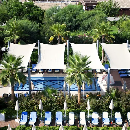 Trendy Verbena 5*