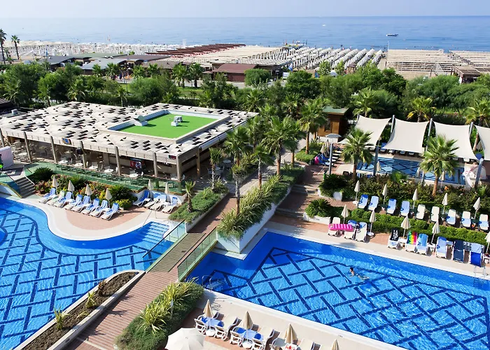 Trendy Verbena 锡德