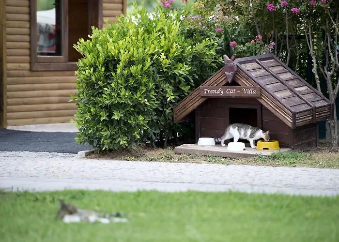 Resort Trendy Verbena 5*