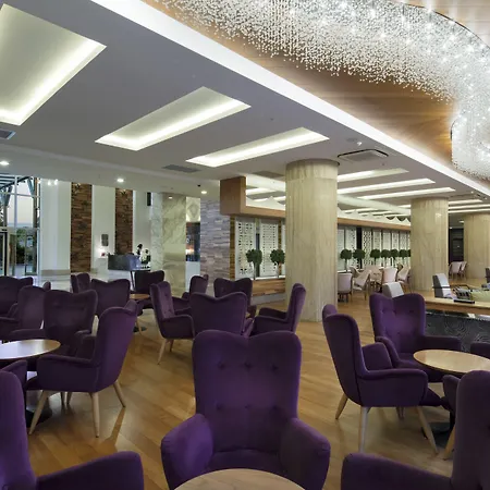 リゾート Trendy Verbena