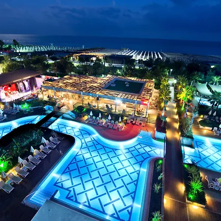 Trendy Verbena シダ