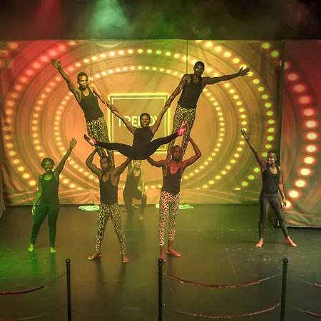 Trendy Verbena 5* シダ