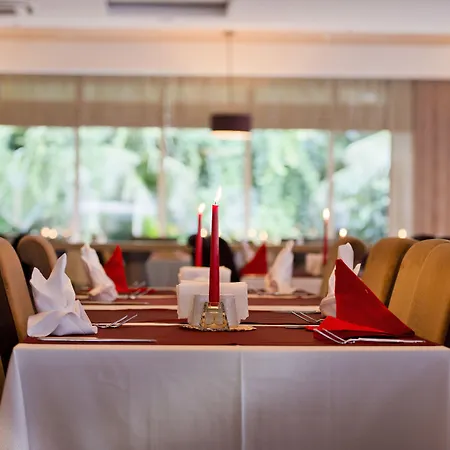 リゾート Trendy Verbena シダ