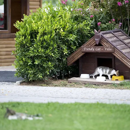 リゾート Trendy Verbena 5*