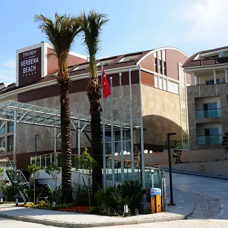 Trendy Verbena リゾート シダ