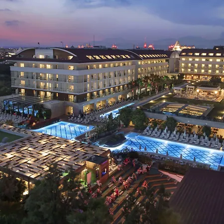 Trendy Verbena シダ