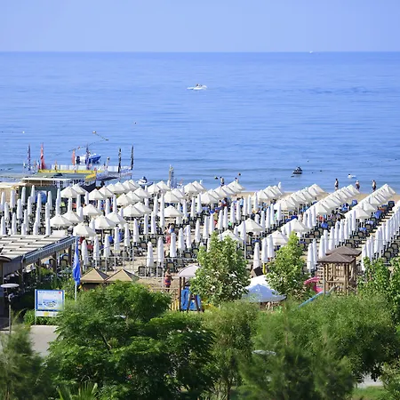 Trendy Verbena シダ