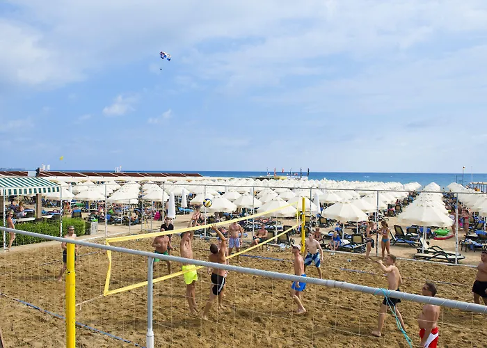 Trendy Verbena Complex