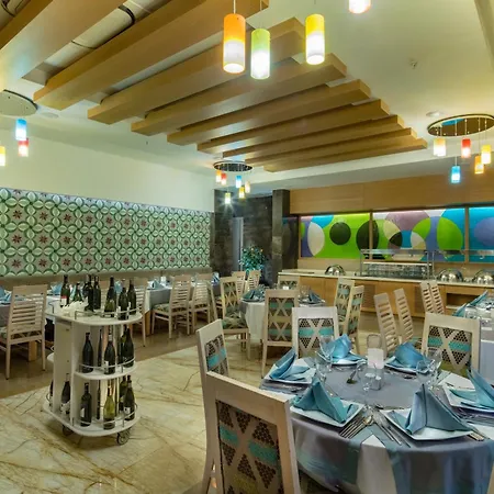 Sentido Trendy Verbena
